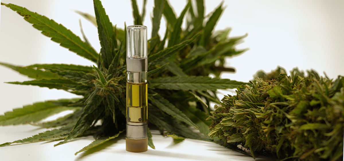 Federal Cannabis Act: Tracing Five Years of Regulatory Evolution and Impact