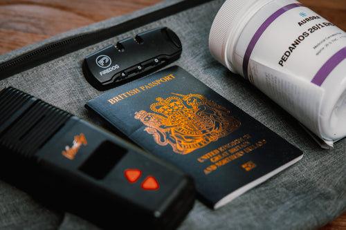 International Travel with Medical Cannabis: A Guide for Canadian Patients