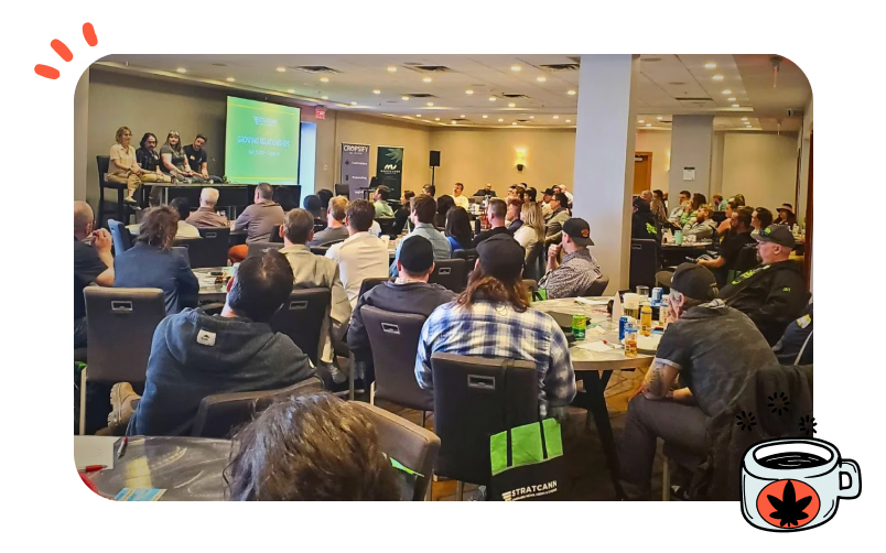 Cannabis industry professionals conversing