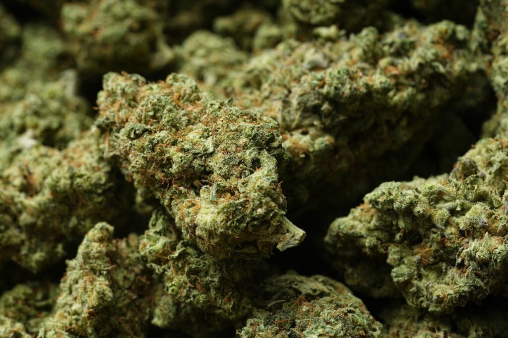 Provincial Divergence: A Comparative Study of Ontario and Quebec’s Cannabis Statutes
